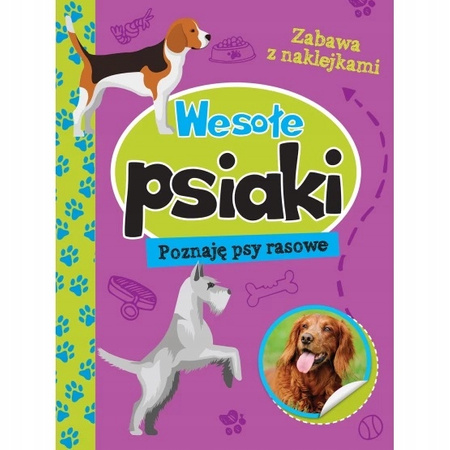 Wesołe Kociaki Psiaki, poznaję Kot Psy rasowe