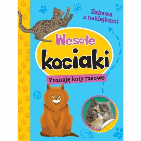 Wesołe Kociaki Psiaki, poznaję Kot Psy rasowe